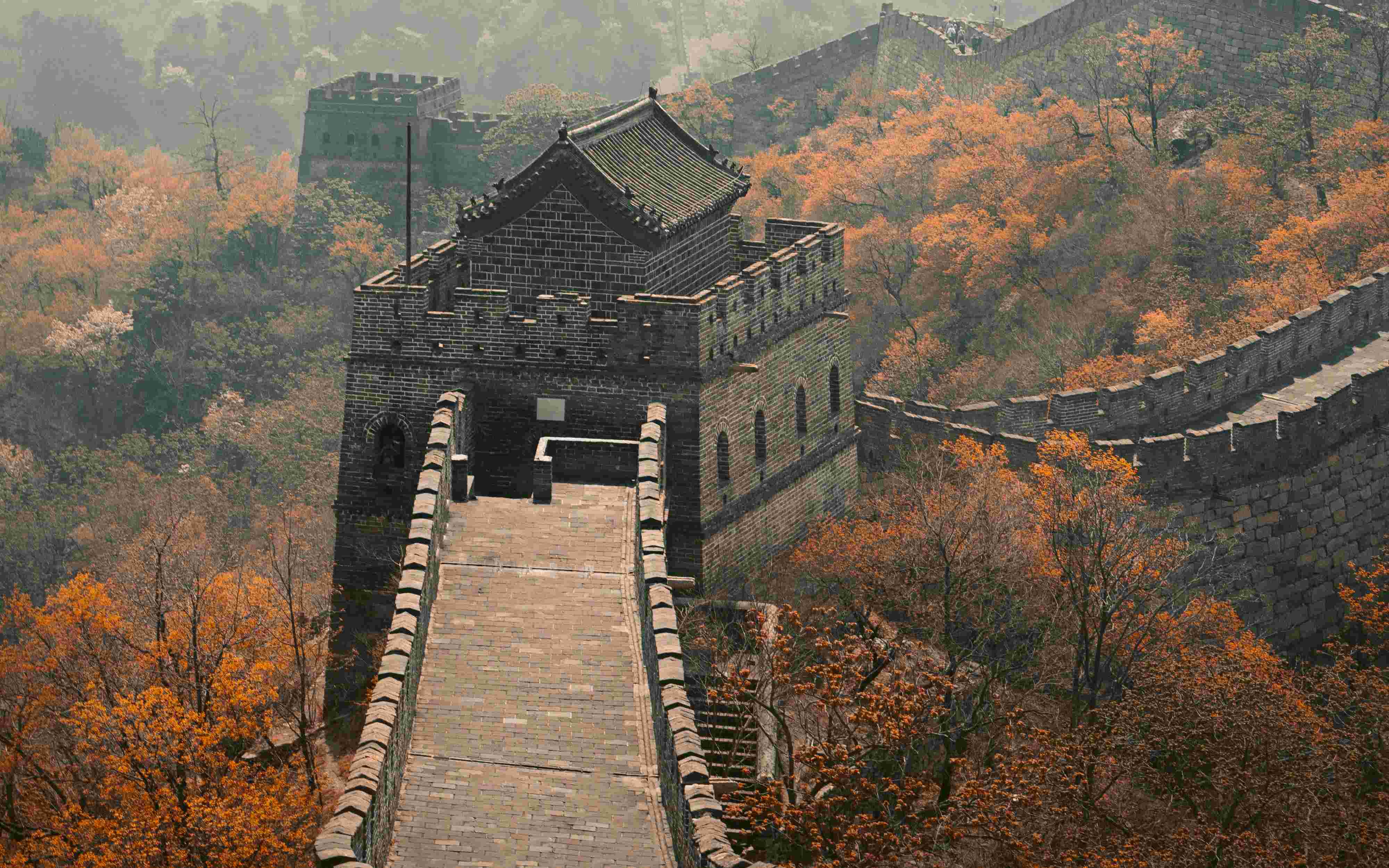 China 8N/9D