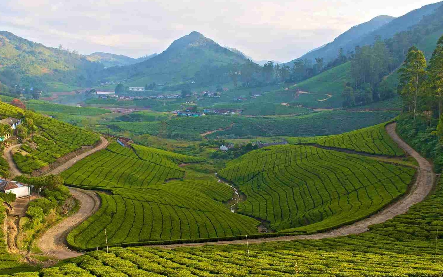 Meghamalai Tour Package