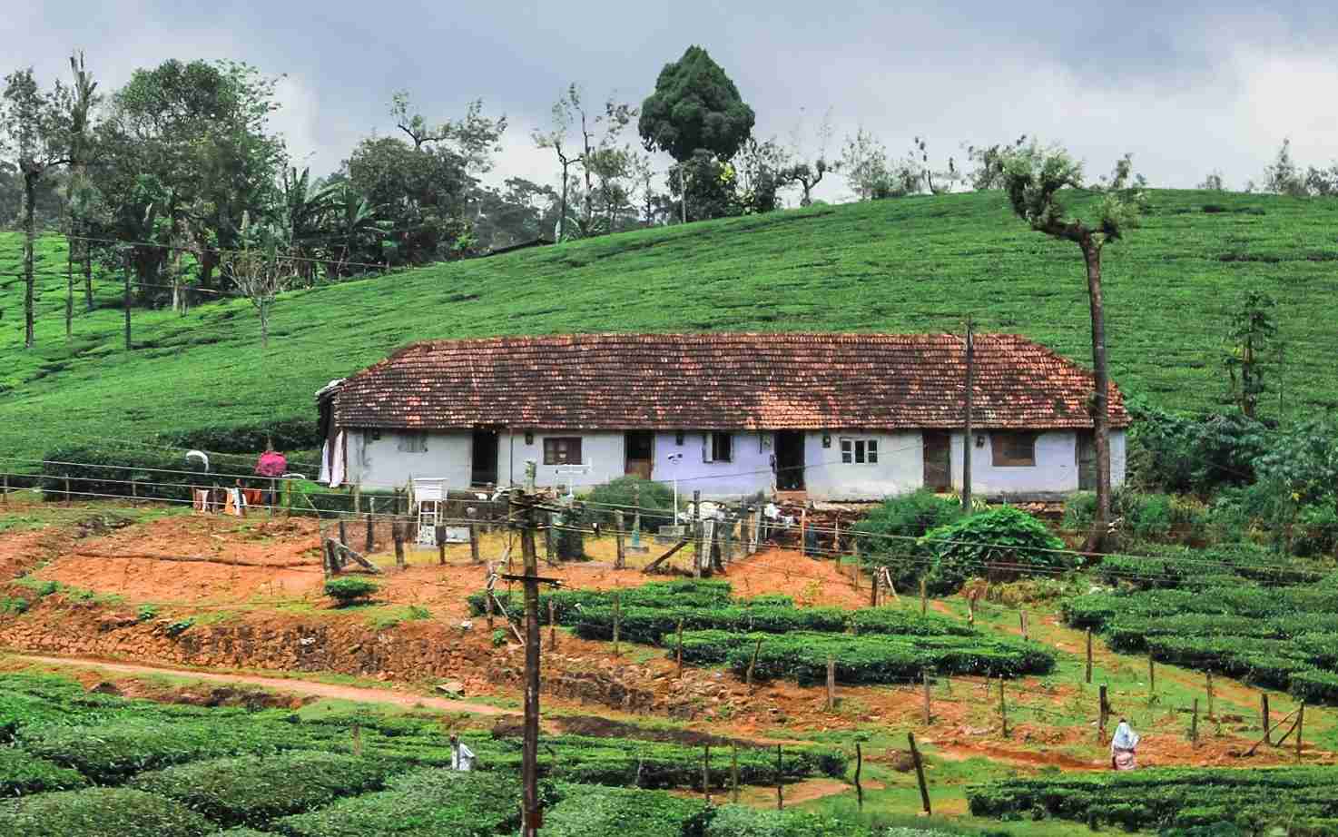Ooty Tour Package