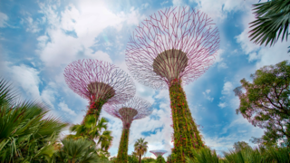Singapore 2